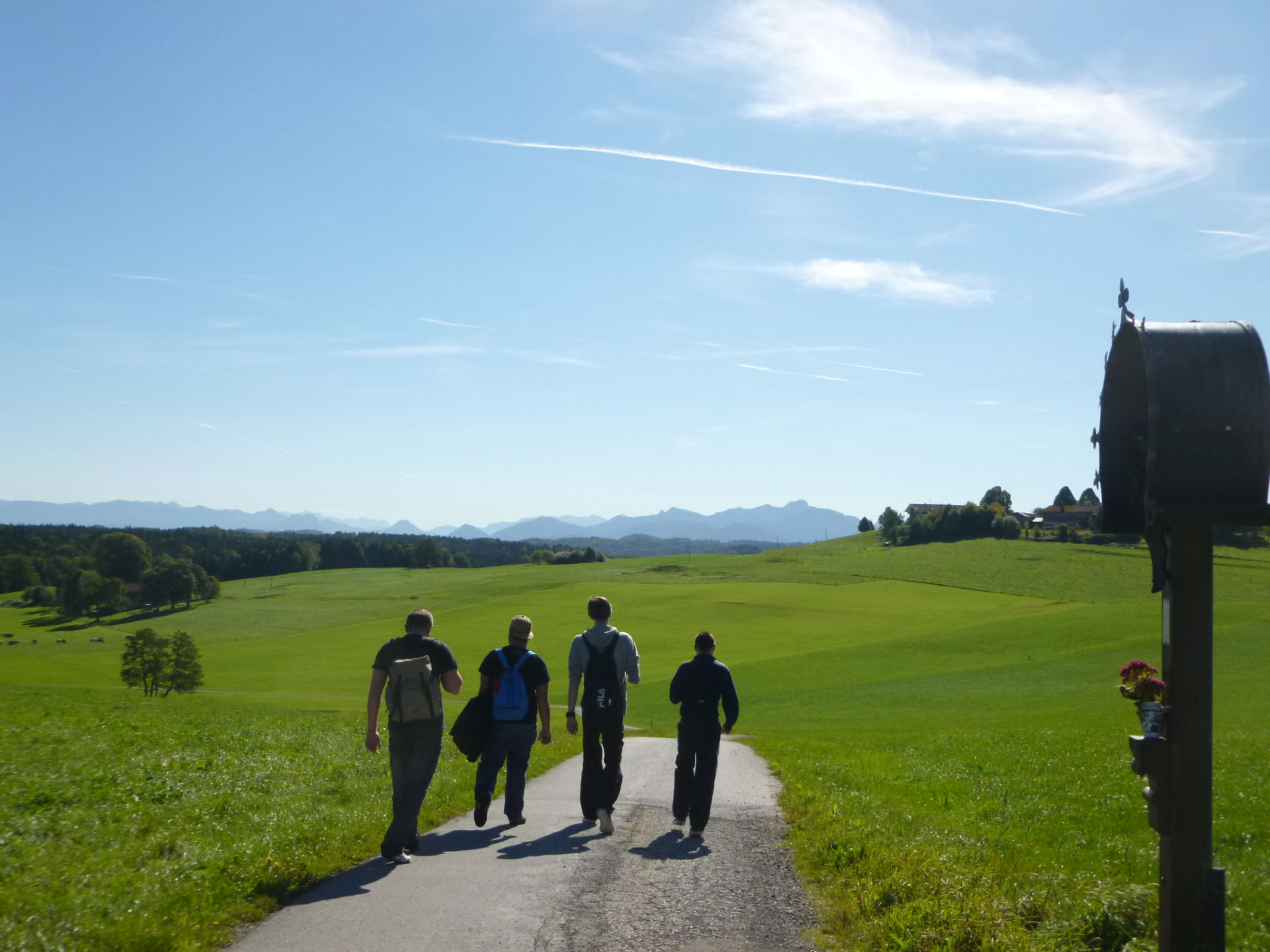 4 Jugendliche auf einem Wanderweg